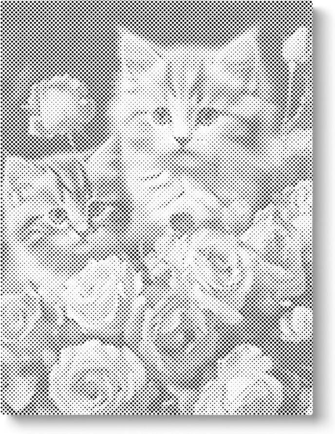 Oh My Dotz 2 kittens met bloemen Dot painting 40x50cm (Meest gekozen) Op frame gespannen Diamond painting & Schilderen op nummer alternatief Stippelschilderij