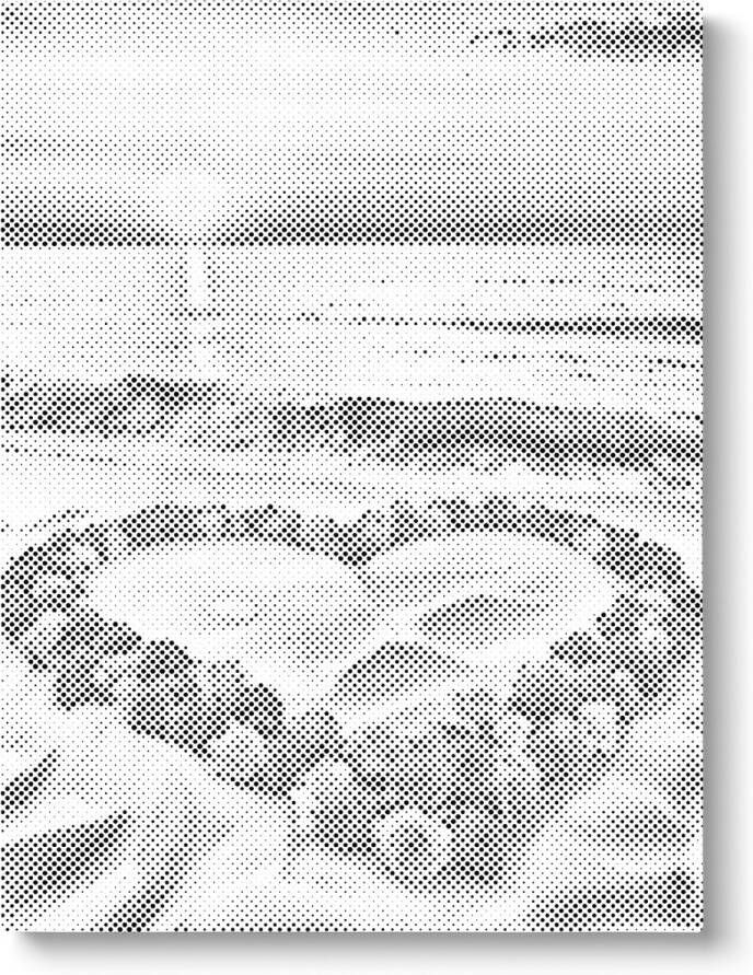 Oh My Dotz Bloemen hart op strand Dot painting 80x100cm Op frame gespannen Diamond painting & Schilderen op nummer alternatief Stippelschilderij