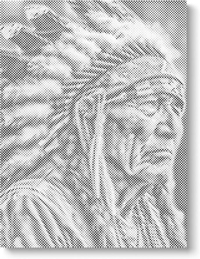 Oh My Dotz Indiaan Dot painting 60x80cm (Beste resultaat) Op frame gespannen Diamond painting & Schilderen op nummer alternatief Stippelschilderij