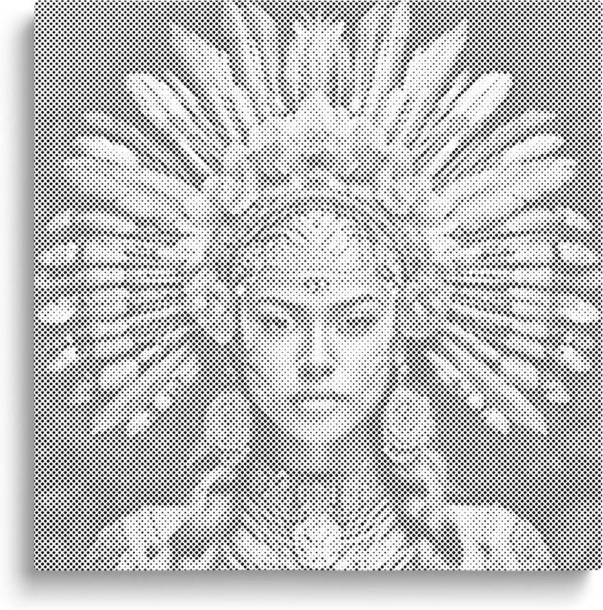 Oh My Dotz Indiaanse vrouw Dot painting 50x50cm Op frame gespannen Diamond painting & Schilderen op nummer alternatief Stippelschilderij