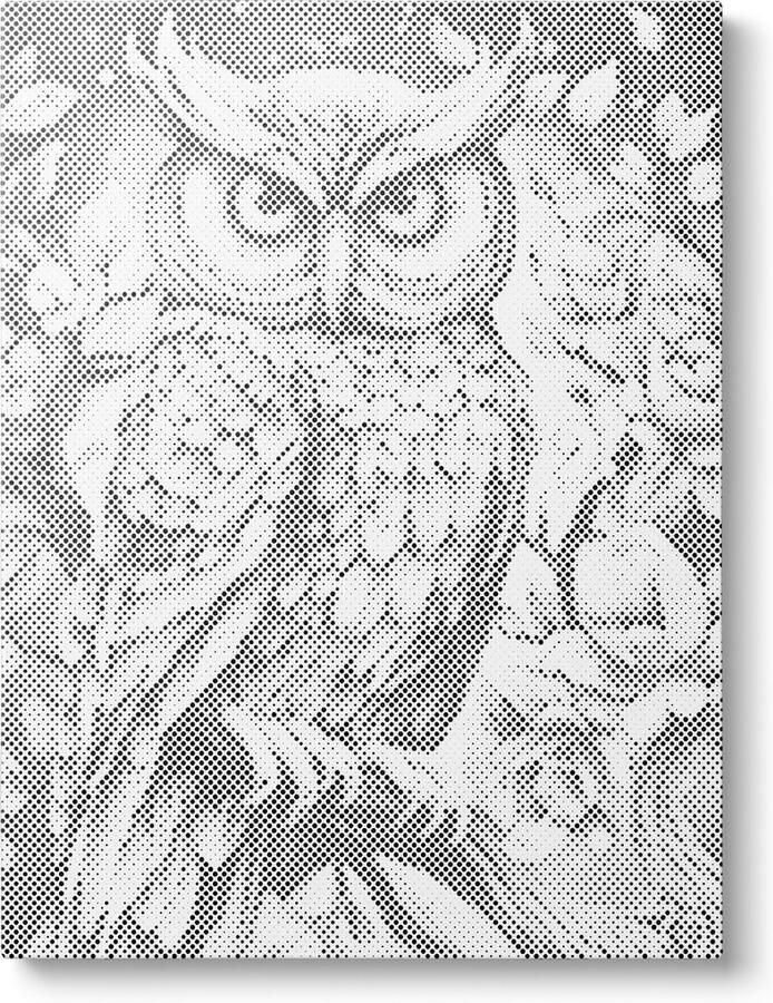 Oh My Dotz Uil Dot painting 80x100cm Op frame gespannen Diamond painting & Schilderen op nummer alternatief Stippelschilderij