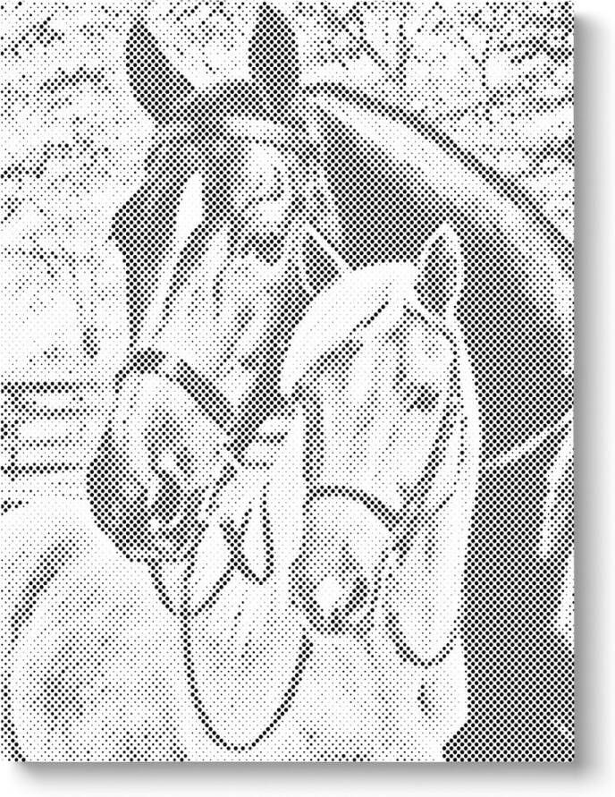 Oh My Dotz Paarden Dot painting 30x40cm Op frame gespannen Diamond painting & Schilderen op nummer alternatief Stippelschilderij