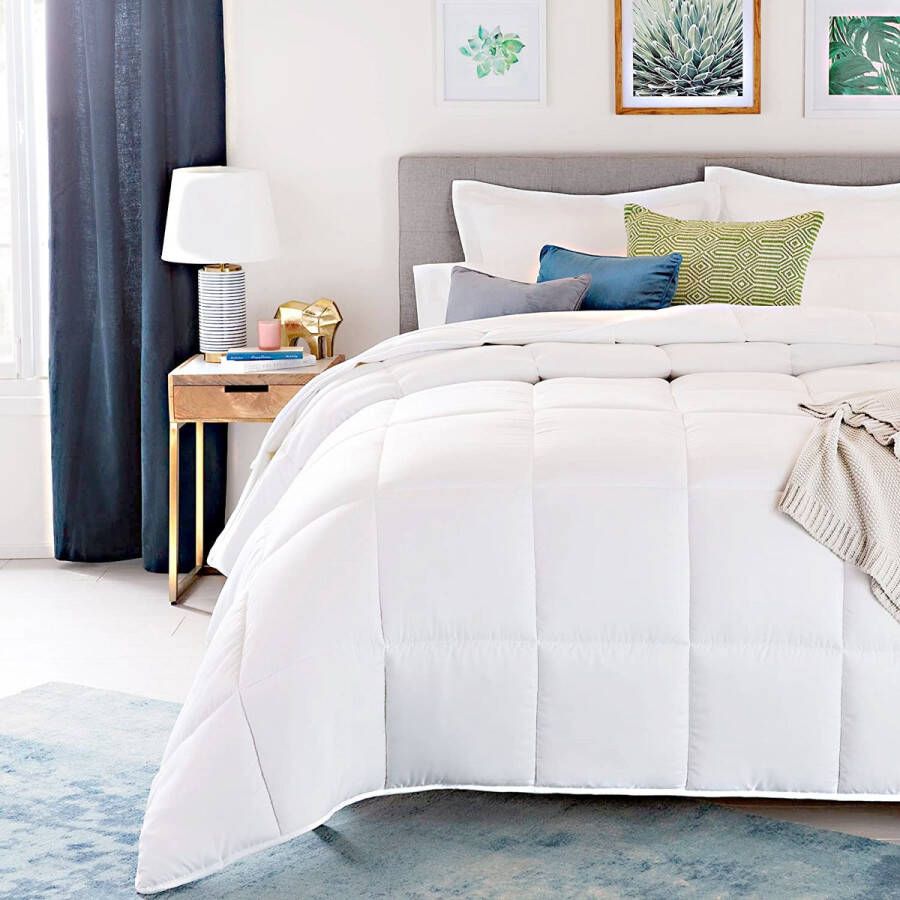 Oncedoce Dekbed 220x240cm Ganzendons 1250g Vulling – Lits-Jumeaux EXTRA LANG Virga Tweepersoons Luxe Dons Zomerdekbed Wasbaar – Extra Luchtig en comfortabel