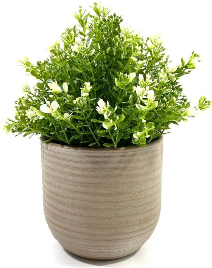 Lucy's Living Lucy s Living Luxe Bloempot STRIPE taupe – ø 14 x 14 cm binnen – buiten – luxe – accessoires – tuin – decoratie – bloemen aardewerk planten plantenhouder