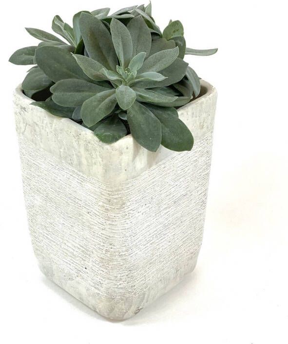 Oneiro Luxe Bloempot SEP 15 x 15 x H30 cm – hotel chique binnen – accessoires – tuin – decoratie – bloemen – mat – glans – industrieel droogbloemen Buiten bloempot tuin tuinieren