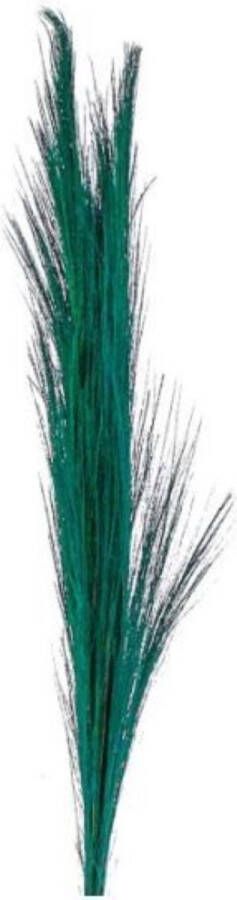 Oneiro ’s Luxe Droogbloemen Broom grass bundle turquoise 75 cm – hotel chique binnen accessoires decoratie – bloemen – mat – glans – industrieel