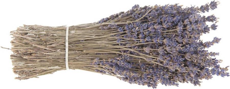 Oneiro ’s Luxe Droogbloemen Lavendel bos ca. 50cm 50gram – hotel chique binnen accessoires decoratie – bloemen – mat – glans – industrieel