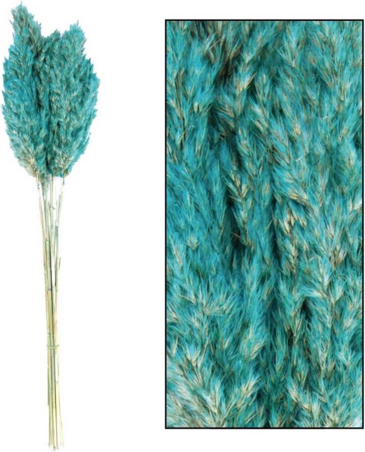Oneiro ’s Luxe Droogbloemen Wild reed plume Vinz nature 75cm 10pc Blue Green – hotel chique binnen accessoires decoratie – bloemen – mat – glans – industrieel