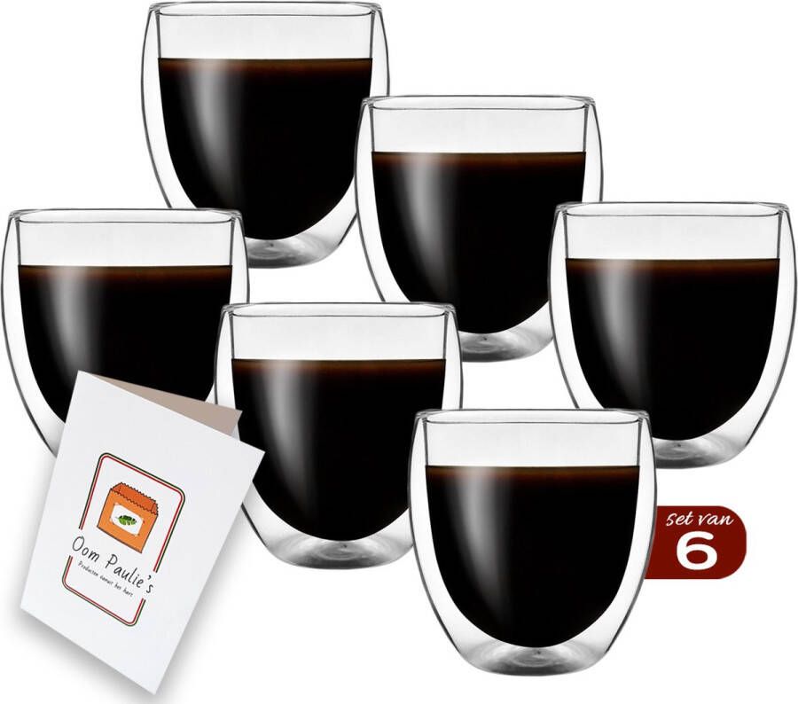 Oom Paulie s Dubbelwandige Koffieglazen 250 ml x 6 stuks Ice coffee Dubbelwandige Koffiekopjes Theeglazen Dubbelwandige glazen