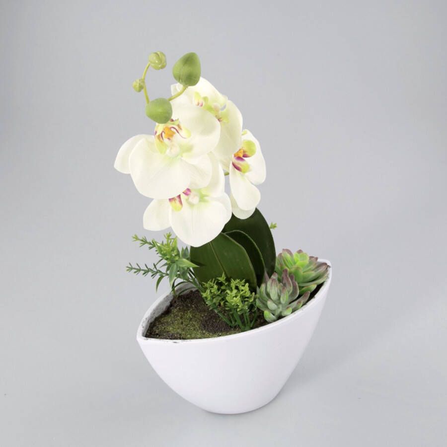 Oosterik Home Orchidee in kunststof pot groen L