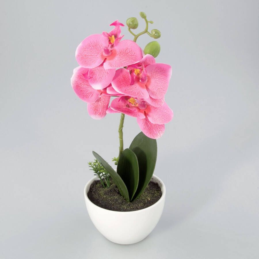 Oosterik Home Orchidee in kunststof pot roze M