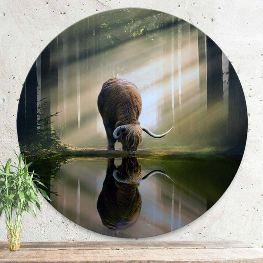 Opjewallie Dibond Muurcirkel Drinkende Schotse Hooglander Groen 80cm