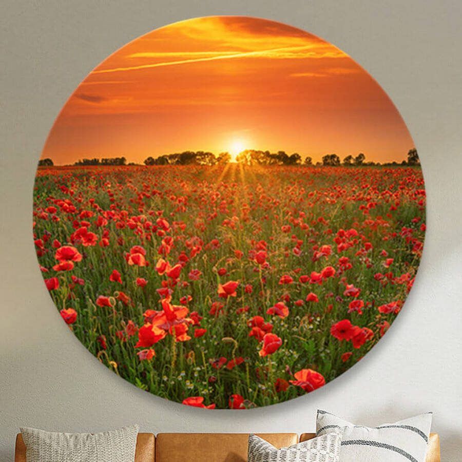 Opjewallie Dibond Muurcirkel Klaprozen bij zonsondergang 120cm
