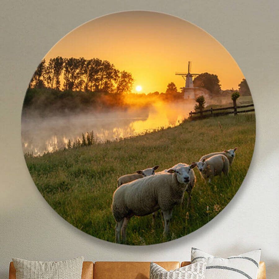 Opjewallie Dibond Muurcirkel Schapen bij zonsopgang 60cm