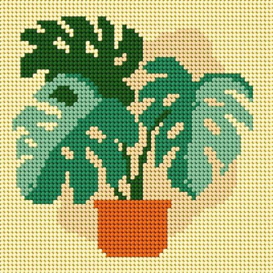 Orchidea borduurpakket monstera 9764 voorbedrukt