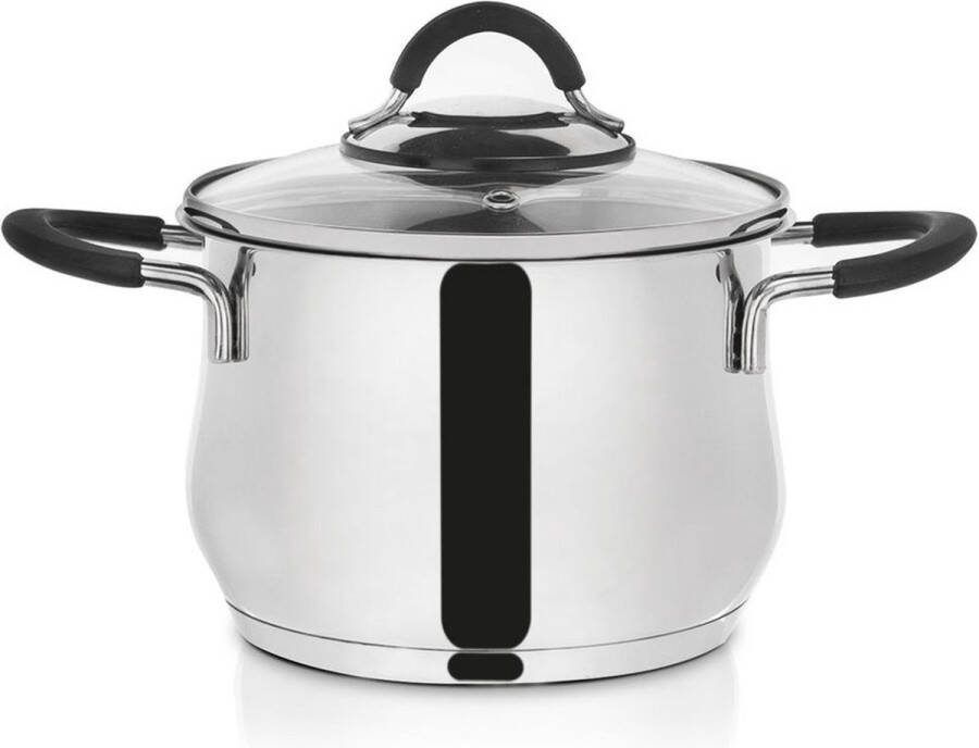 Orion group Kookpan Edelstaal met Glazen Deksel DALIE 16 cm 2 4 l Kookpot Soeppan