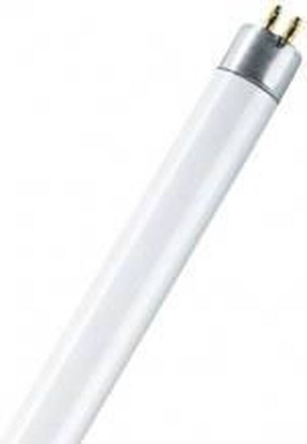 Osram TL-lamp Energielabel: A+ (A++ E) G5 14 W N A Buis (Ø x h) 16 mm x 549 mm 1 stuk(s)