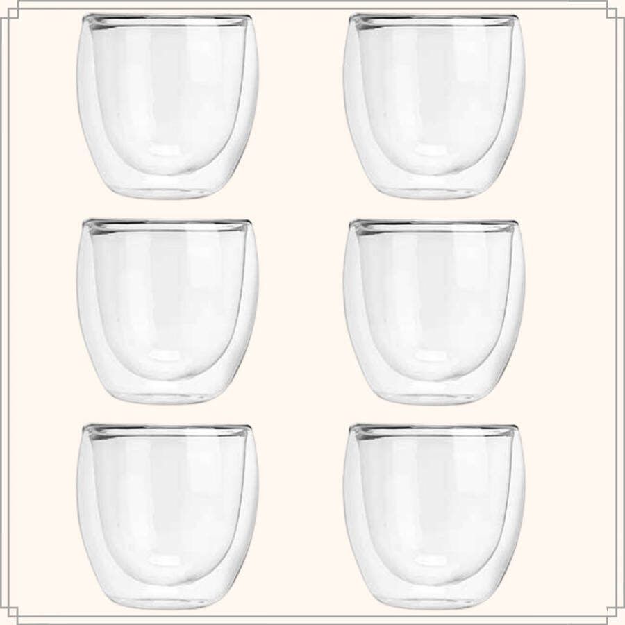 OTIX Dubbelwandige koffieglazen Koffiekopjes Koffietassen 245 ml Set van 6