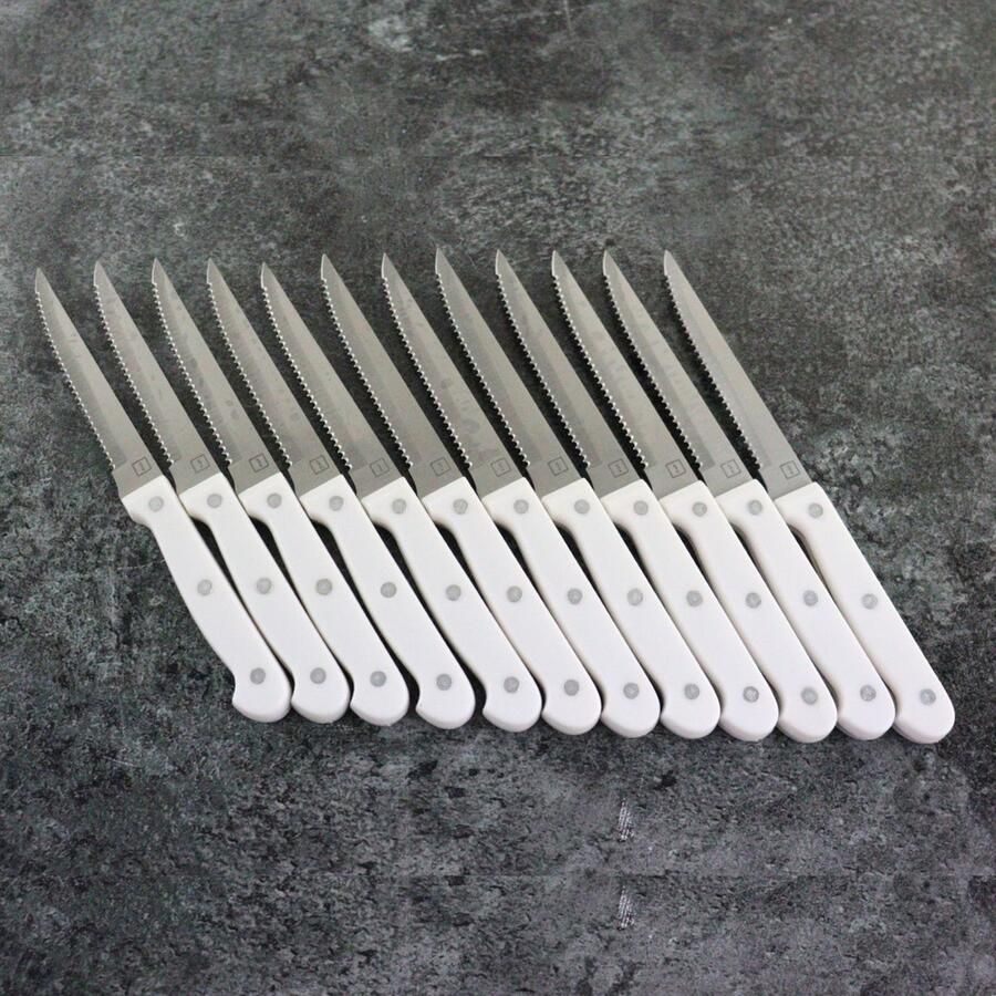 OTIX Steakmessen Set van 12 Stuks Wit Vaatwasserbestendig 21x2x1 5cm Steakmessenset RVS