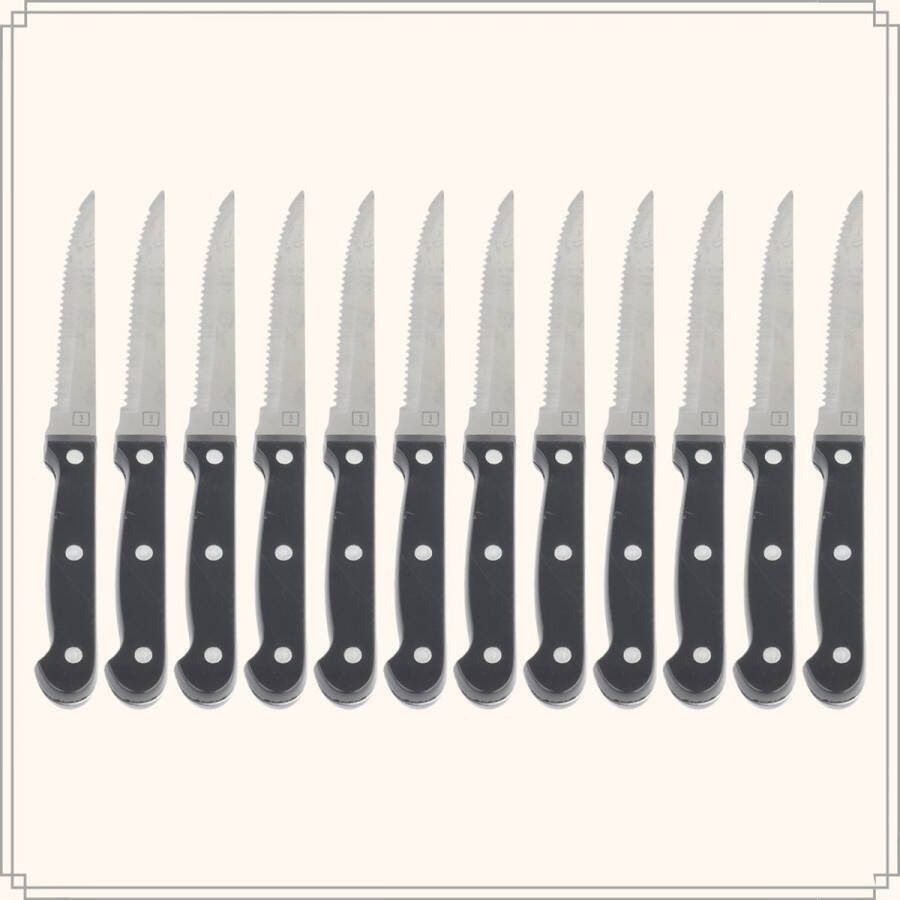 OTIX Steakmessen Set van 12 Stuks Zwart Vleesmessen Vaatwasserbestendig 21x2x1 5cm Steakmessenset RVS
