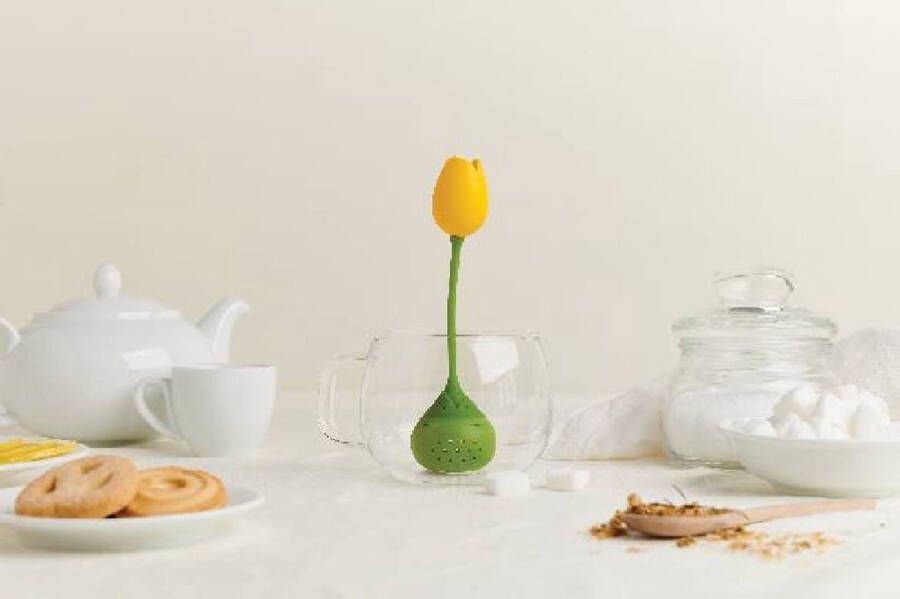 Ototo Tulip thee ei geel