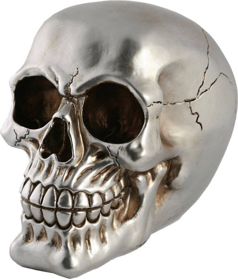 Out of the Blue Spaarpot van doodshoofd Skull polyresin 15 cm Zilver Dark Volwassenen Spaarpotten
