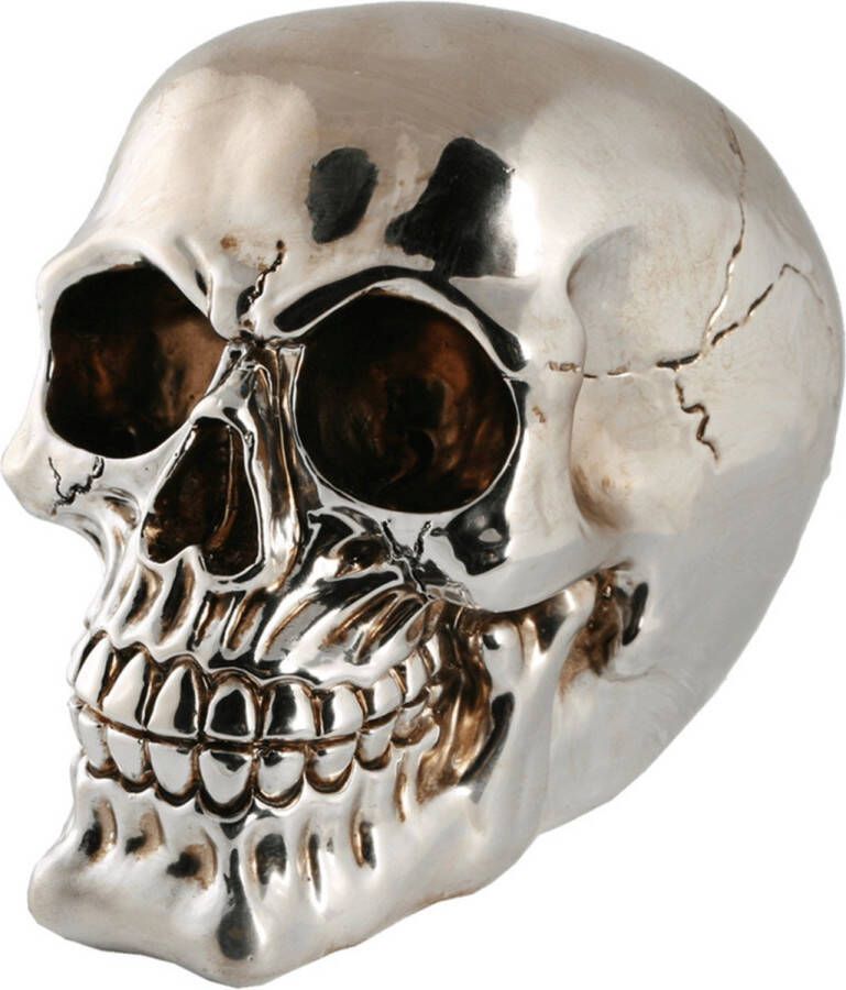 Out of the Blue Spaarpot van doodshoofd Skull polyresin 15 cm Zilver Light Volwassenen Spaarpotten