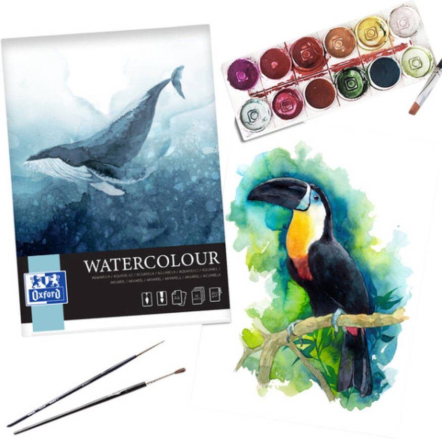 Oxford tekenblok spiraal A4 tekenen en schilderen met aquarelverf 10 vel 300g