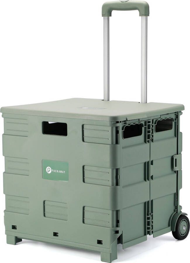 Packaway XL Opvouwbare Boodschappentrolley met wielen Boodschappenkrat Opbergbox Boodschappenwagen Vouwkrat 50 Liter Groen