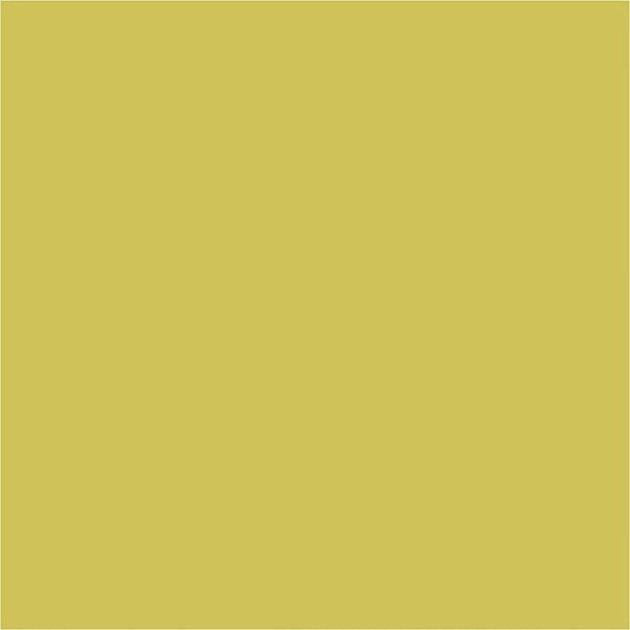 PacklinQ Pigment Art School. semi-glanzend. semi-transparant. kiwi. 500 ml 1 fles