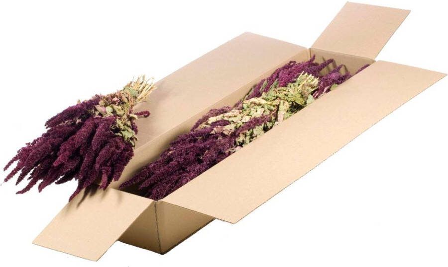 PacklinQ Gedroogde Bloemen Natuurlijk Rood Amaranthus (1 bundel)