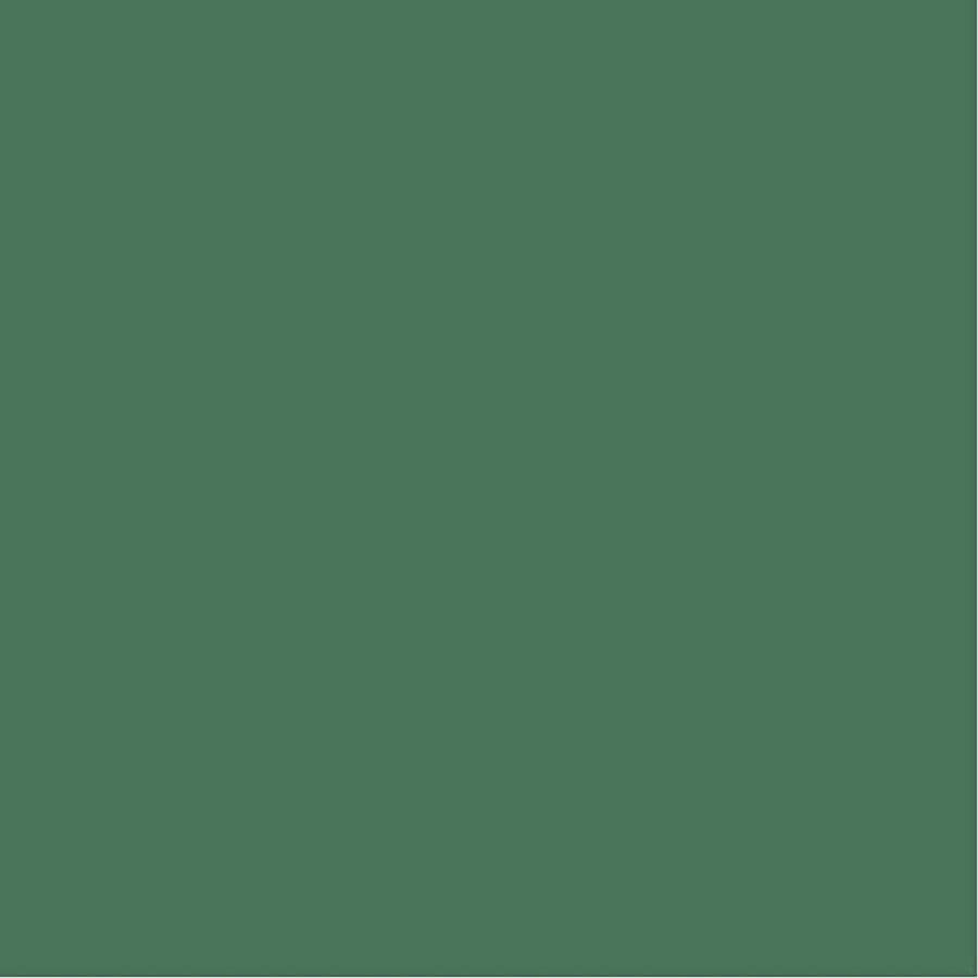 PacklinQ Gekleurd Karton A4 210x297 mm 180 gr donkergroen 100 vel 1 doos Knutselpapier Knutselkarton