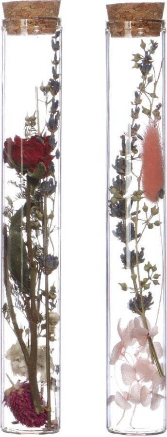 PacklinQ Glazen buis met 2 droogbloemen Ø3cm (12 st.)