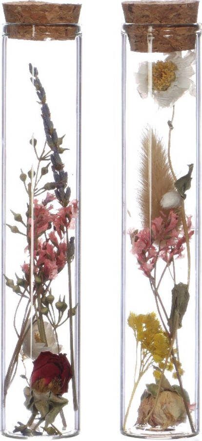 PacklinQ Glazen buis met 2 droogbloemen Ø3cm (12 st.)