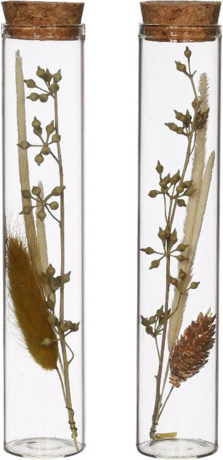 PacklinQ Glazen buis met diverse droogbloemen naturel 15cm hoog (12 st.)