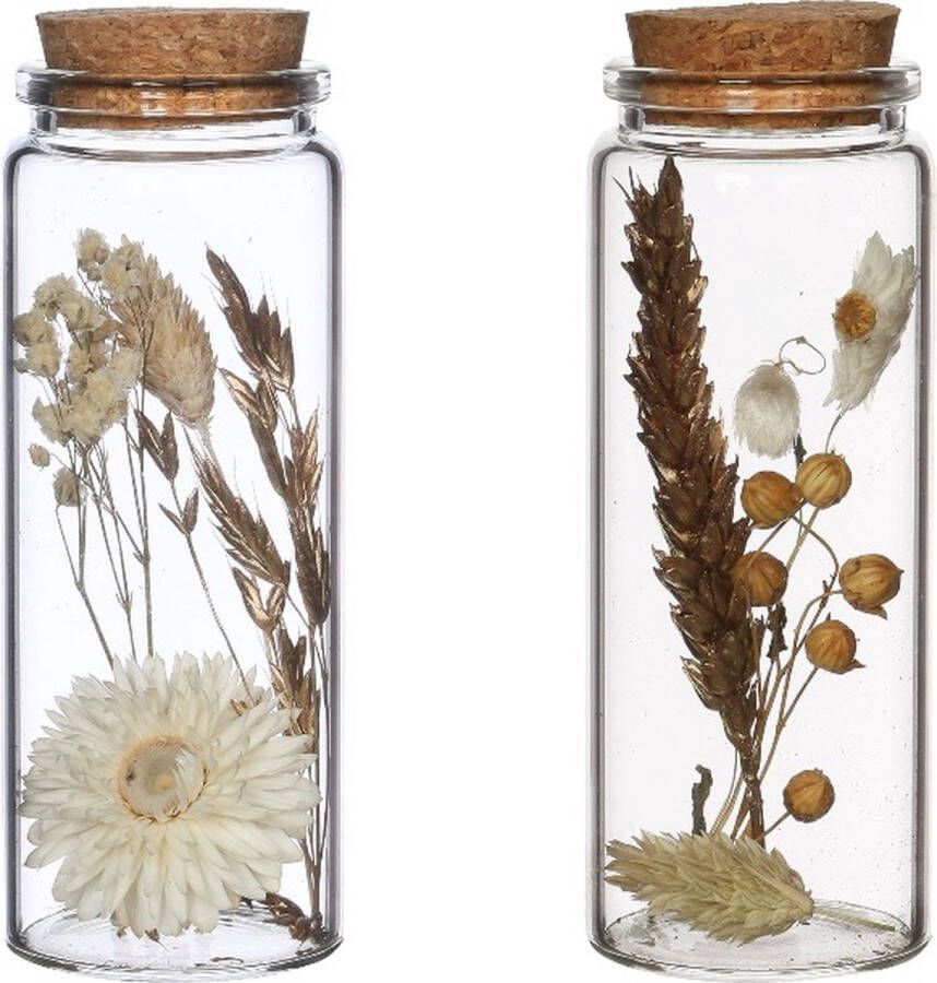 PacklinQ Glazen buis met droogbloemen naturel 12 5cm hoog (12 st.)