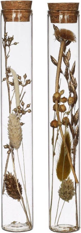 PacklinQ Glazen buis met droogbloemen naturel 20cm hoog (12 st.)
