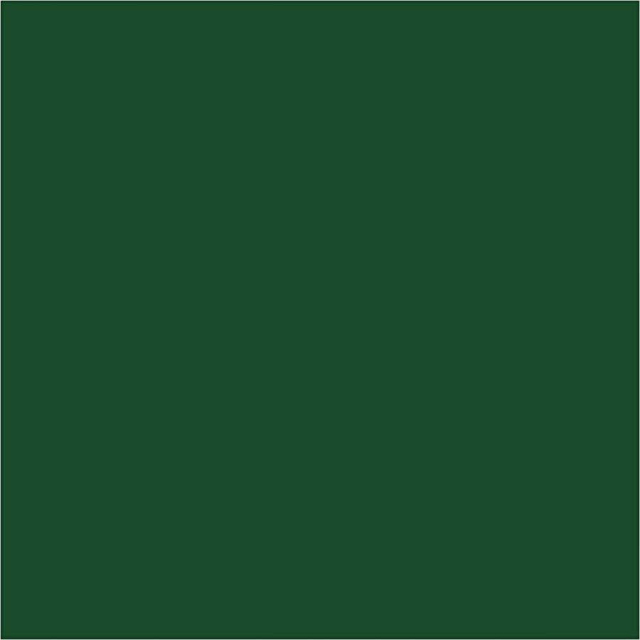 PacklinQ Houten kralen. groen. d 10 mm. gatgrootte 3 mm. 20 gr 1 doos