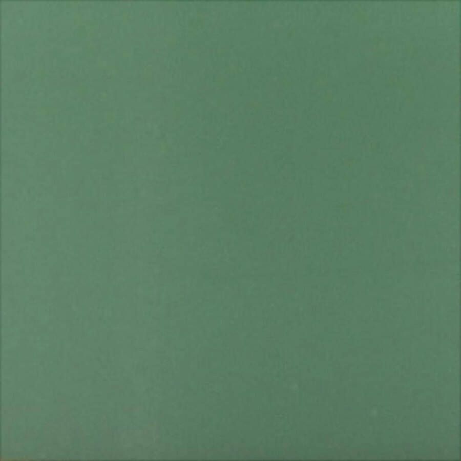 PacklinQ Plus Color acrylverf. forrest green. 60 ml 1 fles