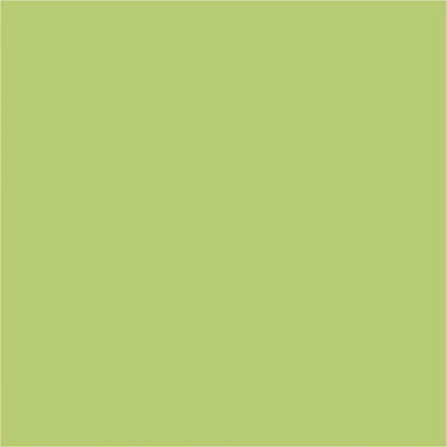 PacklinQ Plus Color Acrylverf lime groen 250 ml 1 fles