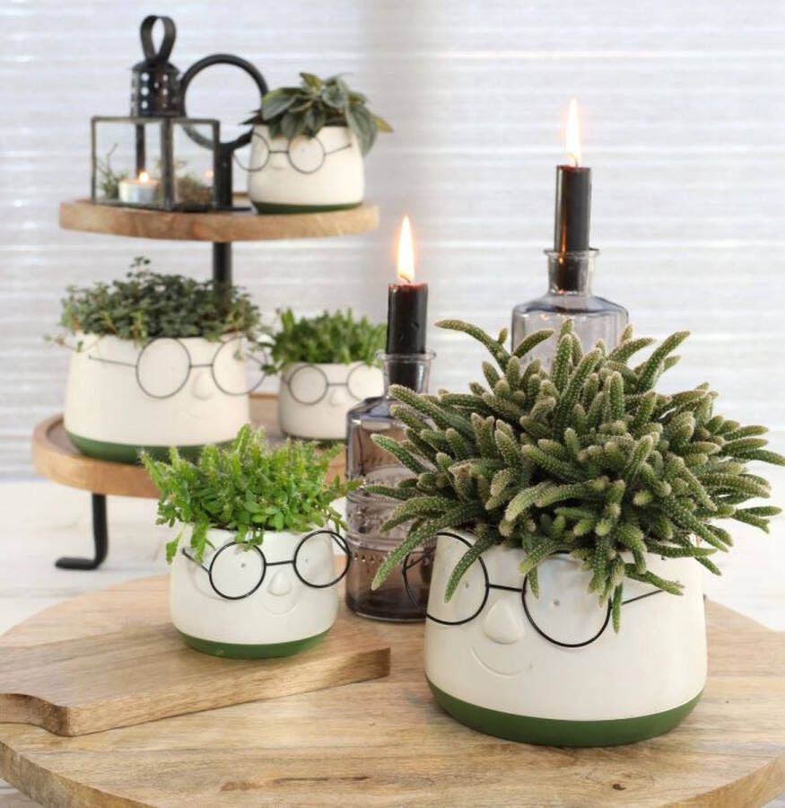 PacklinQ Pot met Brill Ø16 h: 11 5 cm (3 stuks)