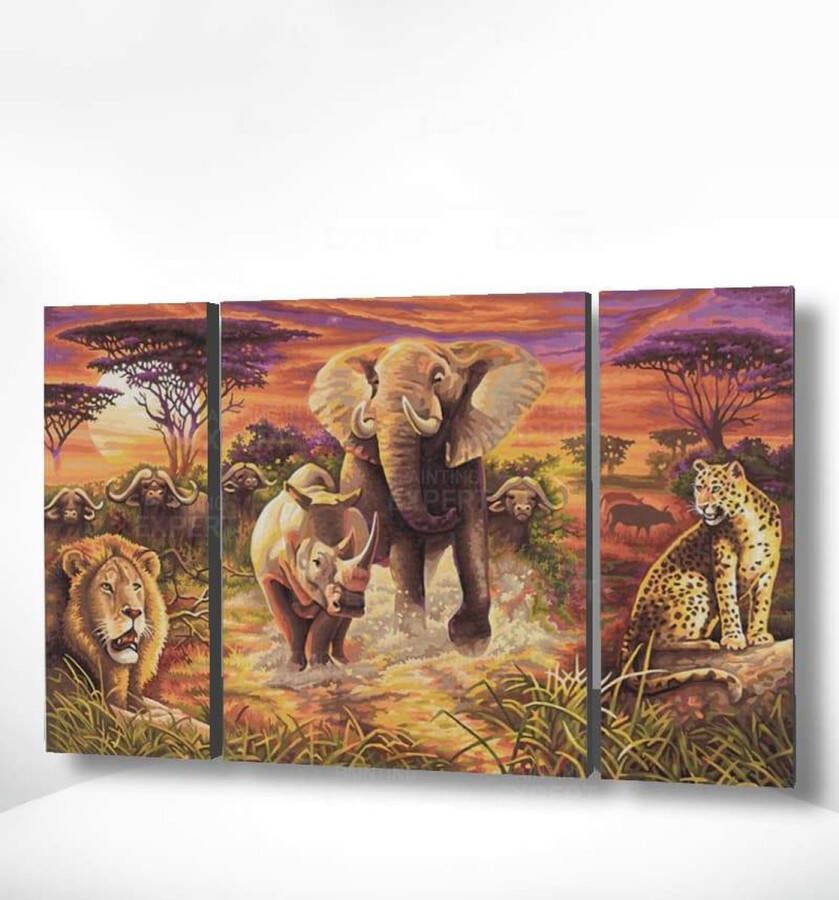 Painting Expert Schilderen op nummer Volwassenen Schilderen op nummer Kinderen Drieluik Afrika 80x150cm Exclusief Lijst (24 kleurtjes)