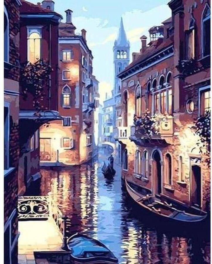 Painting Expert Schilderen op nummer Volwassenen Schilderen op nummer Kinderen Gracht 40x50cm Exclusief Lijst (24 kleurtjes)