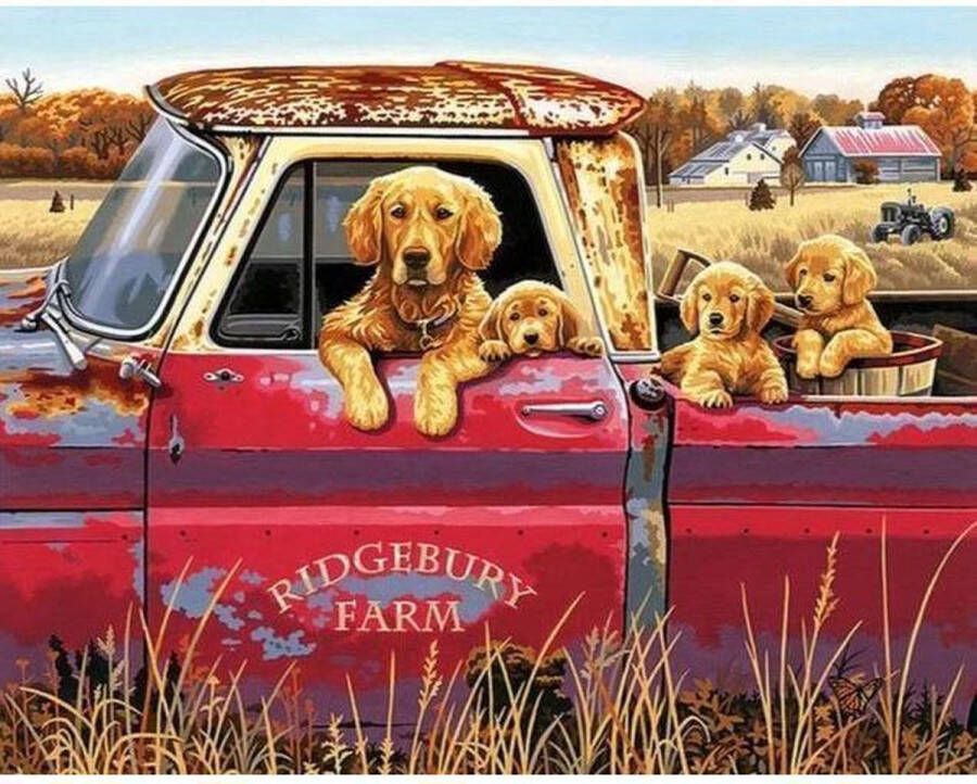 Painting Expert Schilderen op nummer Volwassenen Schilderen op nummer Kinderen Honden in Rode Auto 40x50cm Exclusief Lijst (24 kleurtjes)