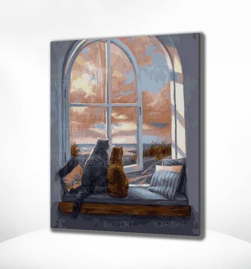 Painting Expert Schilderen op nummer Volwassenen – Schilderen op nummer Kinderen Katten voor het raam 40x50cm Op Lijst Gemonteerd (24 kleurtjes)