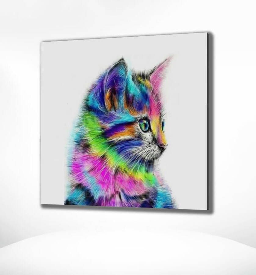 Painting Expert Schilderen op nummer Volwassenen Schilderen op nummer Kinderen Kitten 40x50cm Exclusief Lijst (24 kleurtjes)