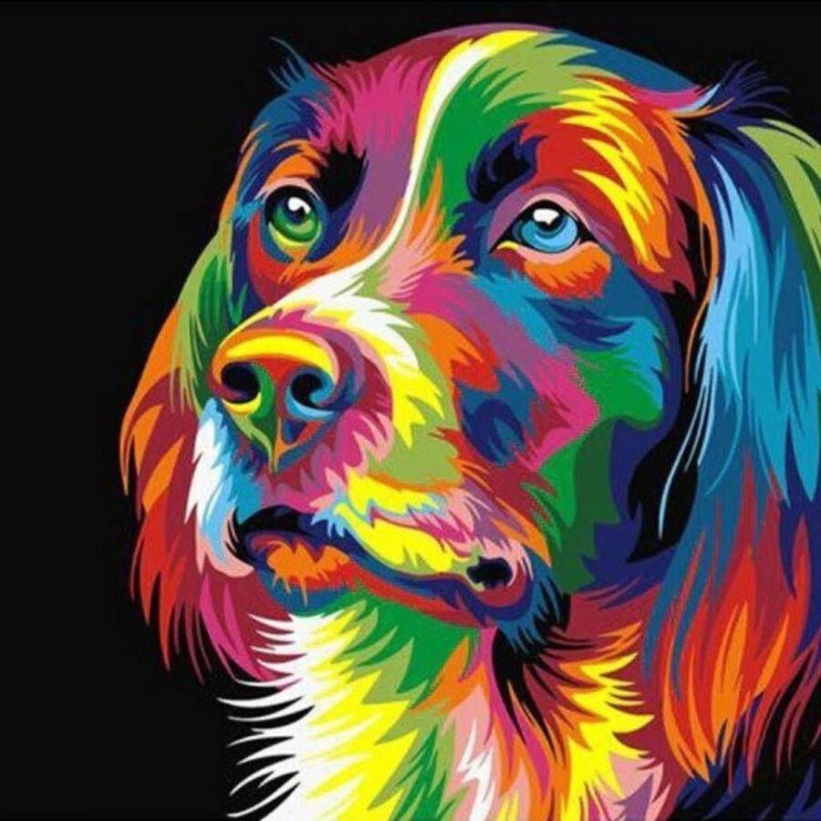 Painting Expert Schilderen op nummer Volwassenen – Schilderen op nummer Kinderen Labrador 60x75cm Exclusief Lijst (36 kleurtjes)