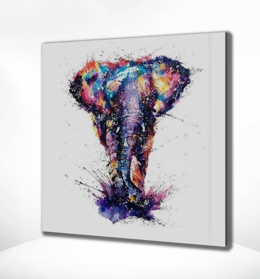 Painting Expert Schilderen op nummer Volwassenen Schilderen op nummer Kinderen Olifant 40x50cm Exclusief Lijst (24 kleurtjes)