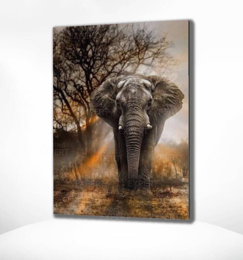 Painting Expert Schilderen op nummer Volwassenen Schilderen op nummer Kinderen Olifant met Zonsondergang 40x50cm Exclusief Lijst (24 kleurtjes)