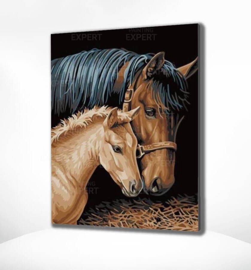 Painting Expert Schilderen op nummer Volwassenen Schilderen op nummer Kinderen Paard en Veulen 40x50cm Exclusief Lijst (24 kleurtjes)